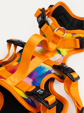 Full Coverage Dog Harness - Sunset Floral Splash